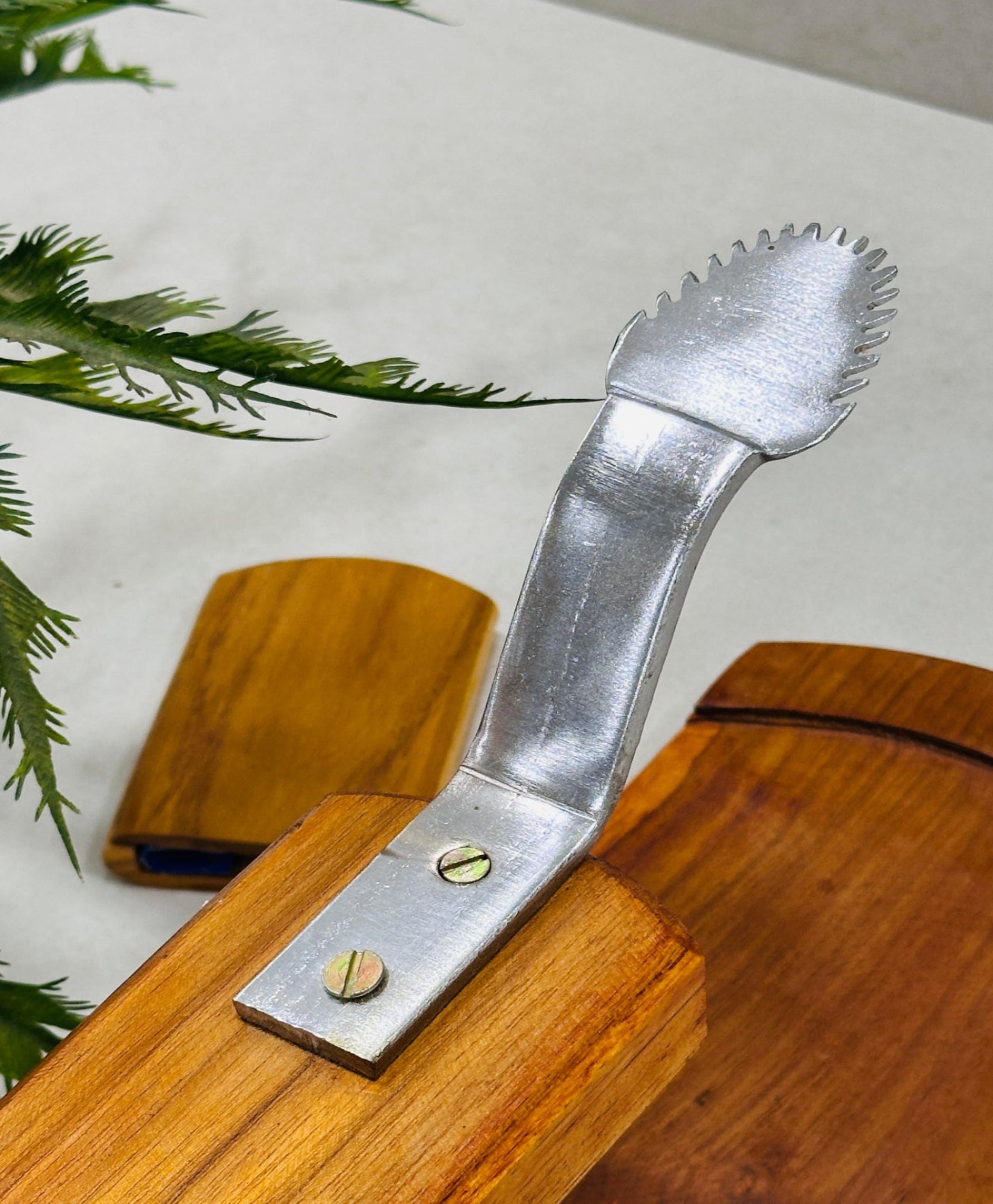 Bold Teakwood Coconut Scraper