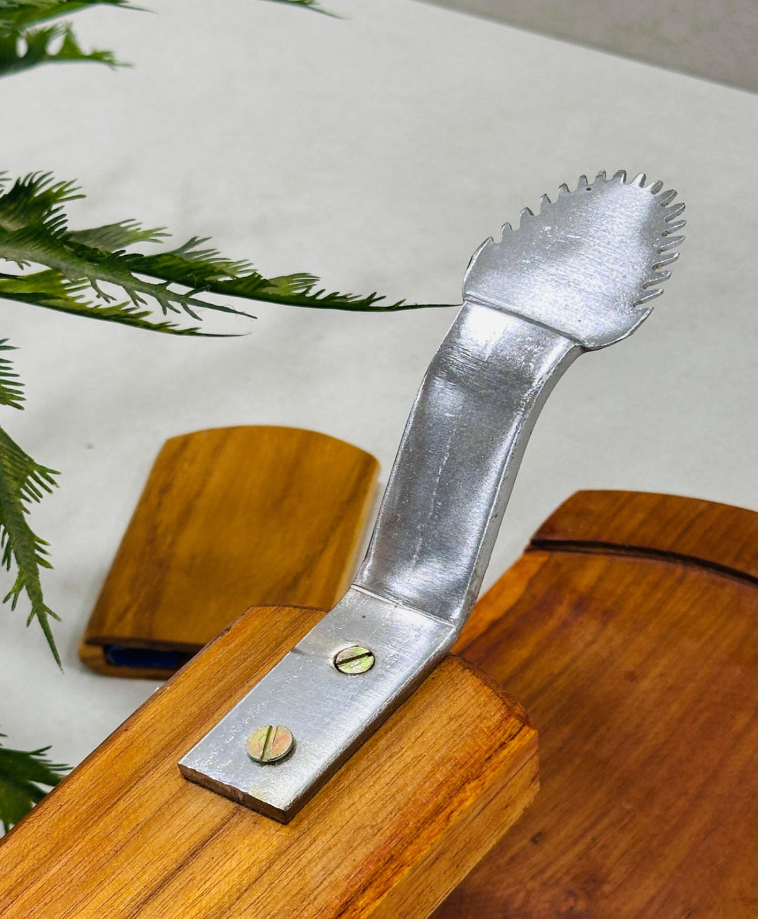Bold Teakwood Coconut Scraper
